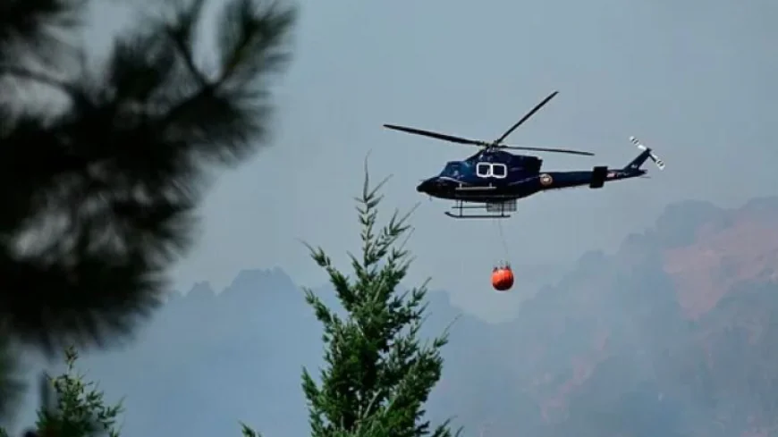 Seven dead in helicopter crash in Argentina