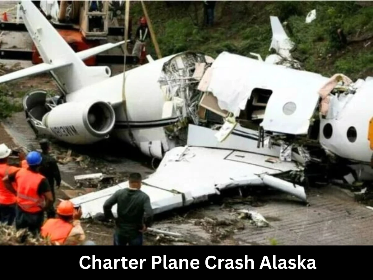 Eight killed in charter plane crash in Alaska