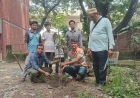 Swajan Samabesh's tree plantation drive in Dhaka
