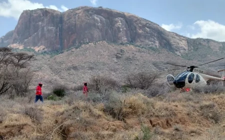 Tourist helicopter crashes in Kenya, nobody survive
