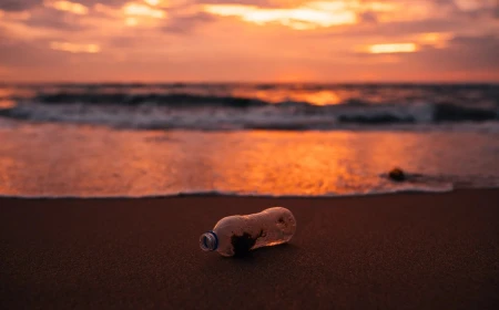 How to be a responsible traveller