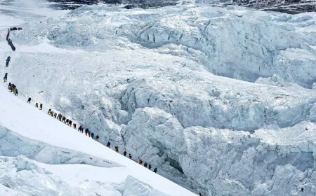 Record 274 climbers scale Everest in single day