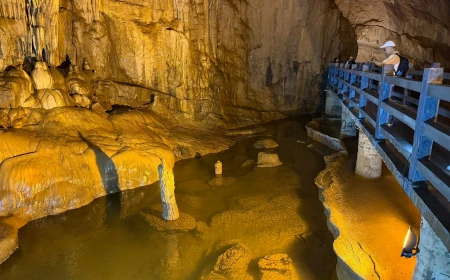 Beneath the rock