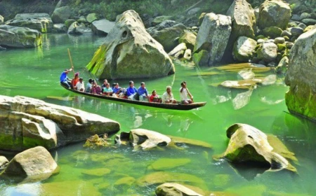 Domestic tourism sees brighter future