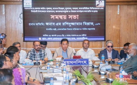 Govt committed to people-friendly services: Millat
