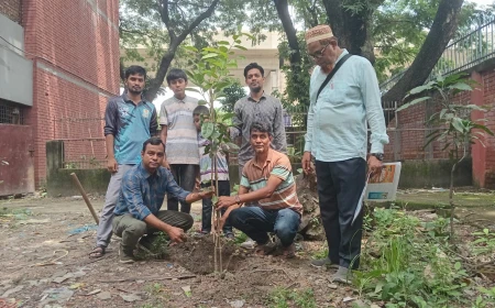 Swajan Samabesh's tree plantation drive in Dhaka