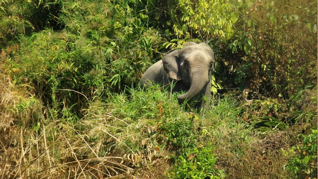 Inani National Park where hills, forest and sea meet