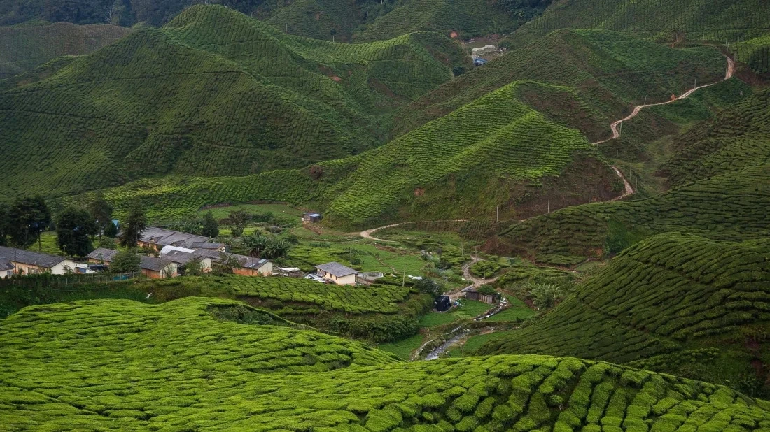 Malaysia beyond Kuala Lumpur: Hidden escapes for nature, history lovers