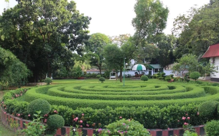 Five resorts near Dhaka for a day out in Ashulia