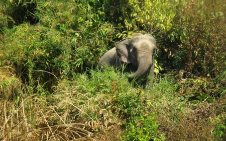 Inani National Park where hills, forest and sea meet