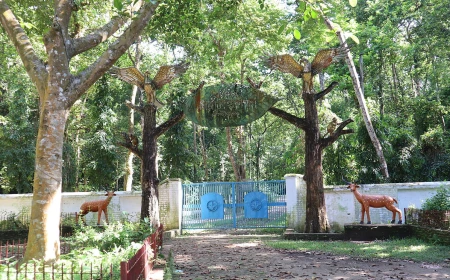 Barshijora Ecopark: A green haven amid urban life