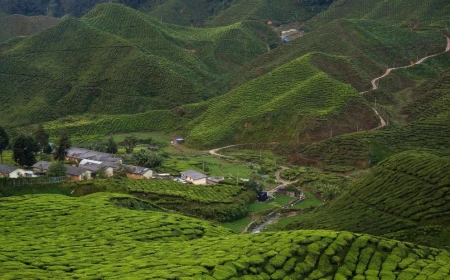 Malaysia beyond Kuala Lumpur: Hidden escapes for nature, history lovers