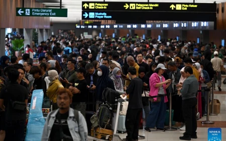 Volcanic eruption pauses flights at Soekarno airport